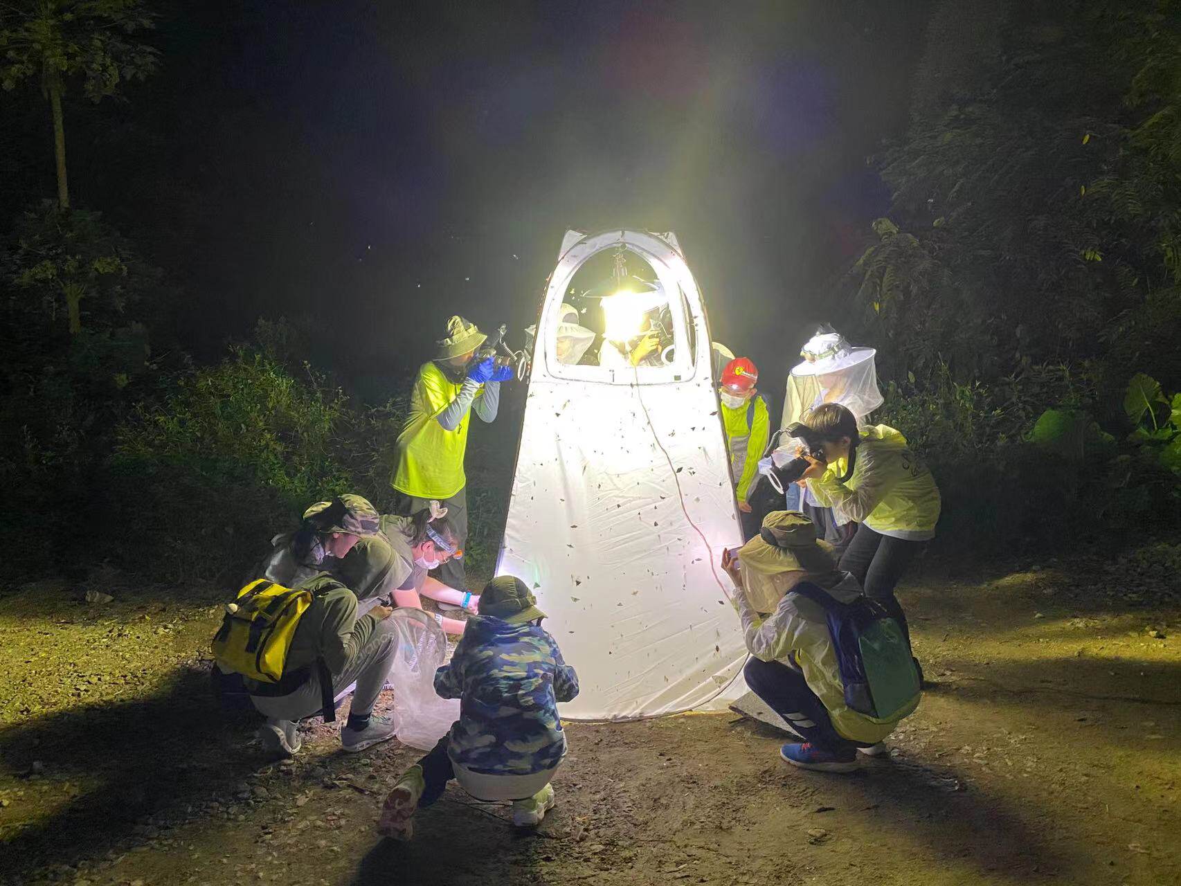 Insectenverzamelingsdoek Licht - Outdoor Lighting Collections recensie en prijs