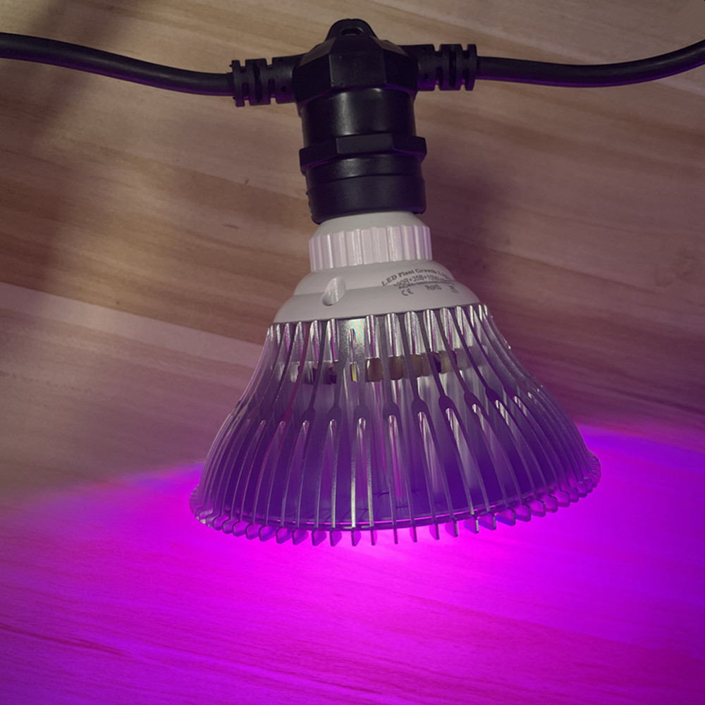 10M kabel LED-slinger van comm - Lighting Wedding Outdoor recensie en prijs